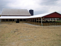Roofed feedlot and waster storage structure