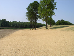 Divension Ditch – critical area stabilization