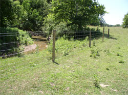 Stream protection fencing project