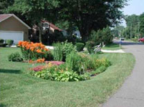 Rain garden photo