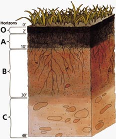soil profile image